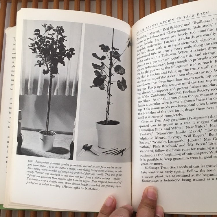 Vintage House Plants Guide Book How to Care for House Plants Etsy