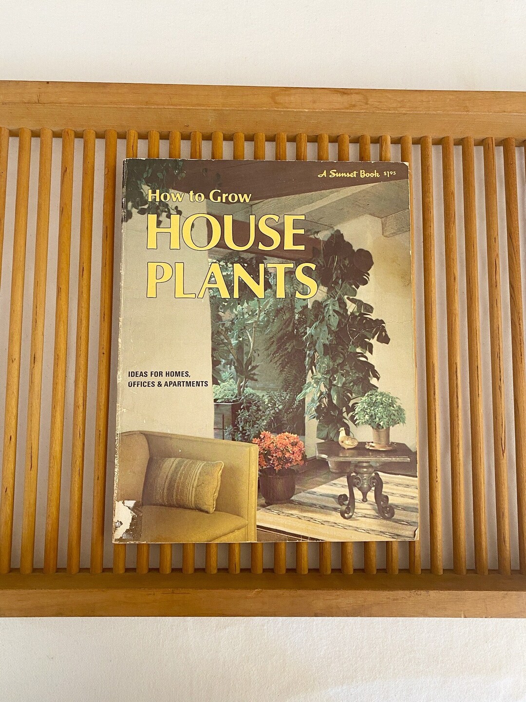 Vintage how to Grow Houseplants How to Choose, Grow and Display House Plant Guide Book Etsy