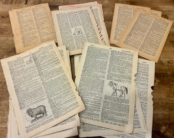 50 Vintage Dictionary Pages