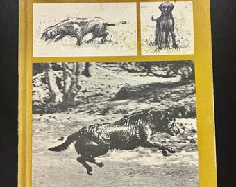 Training The Retriever - 1976 Hardcover Book