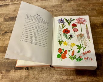 1961 Taylor’s Encyclopedia of Gardening