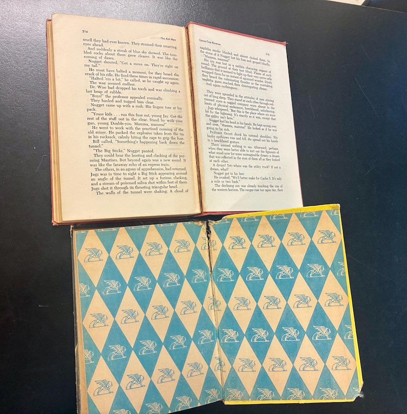 Op de afbeelding: Twee open boeken met rode covers en vergeelde pagina's, plus een boekomslag met een blauw-wit ruitpatroon. De pagina's zijn vergeeld en de tekst is zichtbaar. De boeken lijken oud.