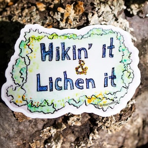 May include: A white sticker with a green, yellow, and blue watercolour background. The sticker says "Hikin' it & Lichen it" with a small ampersand symbol. The text is in a blue font. The sticker has a white border and a rough, hand-drawn edge. The sticker is on a tree trunk with a brown and grey bark.