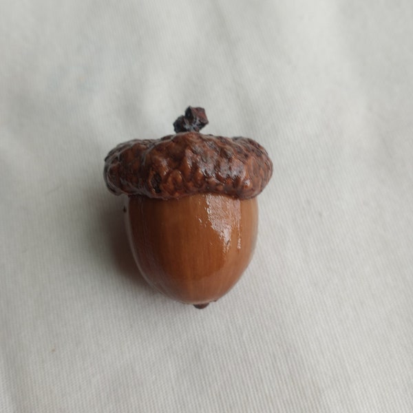 Acorn secret box , real acorn, small treasures, handmade (1)