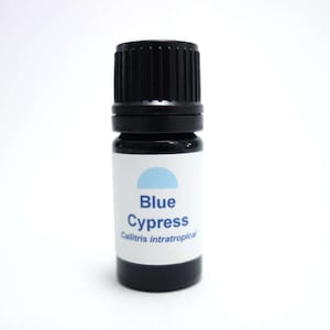 Blue Cypress Essential Oil Sustainable Wild Australian Pure Highest Grade Callitris intratropica Diffuse massage skincare