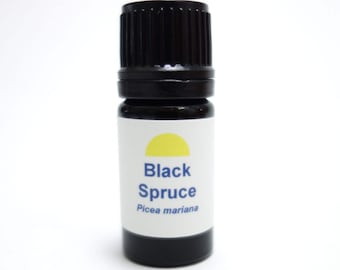 Black Spruce (Picea mariana) Organic Essential Oil Aromatherapy Steam Distillation Spa Sauna Self Care Routine Natural Perfumery