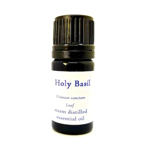 Heiliges Basilikum Ätherisches Öl Bio Tulsi Ocimum sanctum Aromatherapie Parfümerien Hohe qualität
