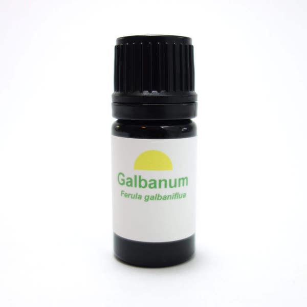Galbanum Resin essential oil Ferula galbaniflua Wildcrafted gummosa rubricaulis Aromatherapy Perfumery Perfume Incense Fixative