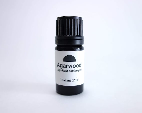 Agarwood Oud Essential Oil Rare aquilaria Subintegra Wildcrafted Steam  Distilled Agarwood Essential Oil One of the Finest Distillations A 