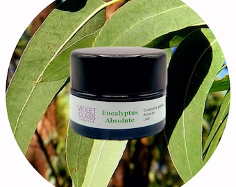 Eucalipto ABSOLUTE Francia Perfumería Natural Fijador de Aromas
