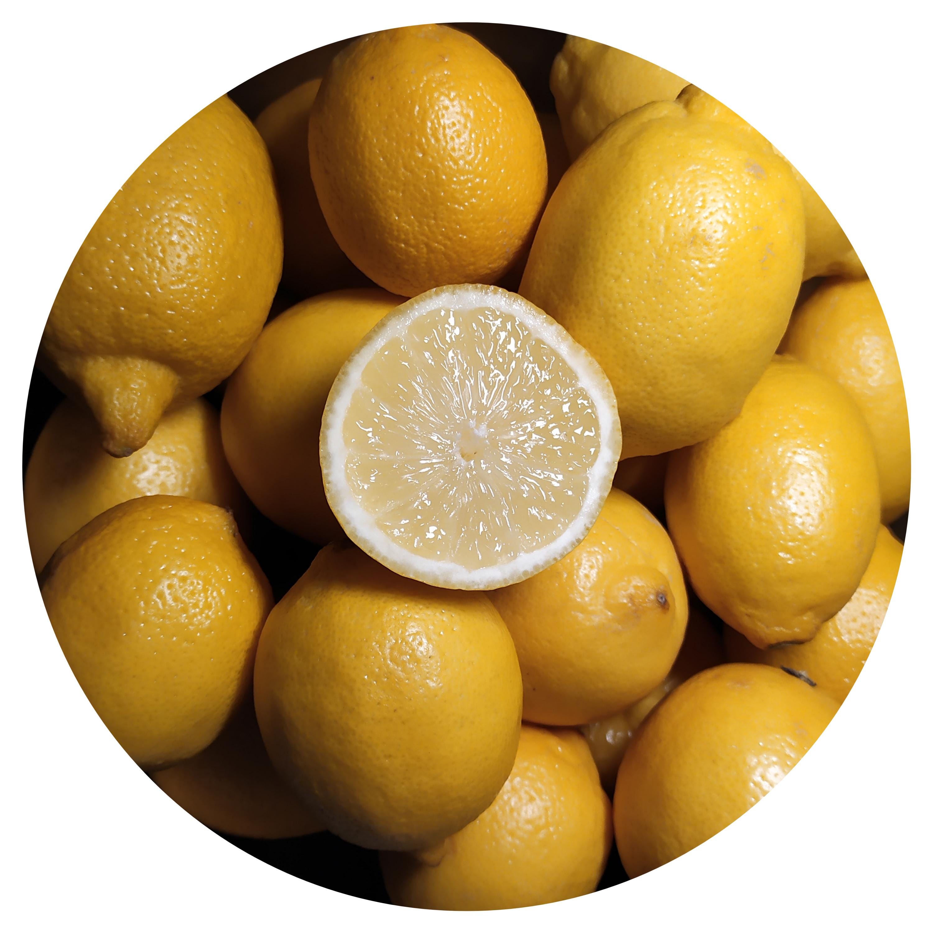 Leman Rid Organic Lemon Essential Oil Cold Pressed Citrus Limonum Peel Rind USA ...