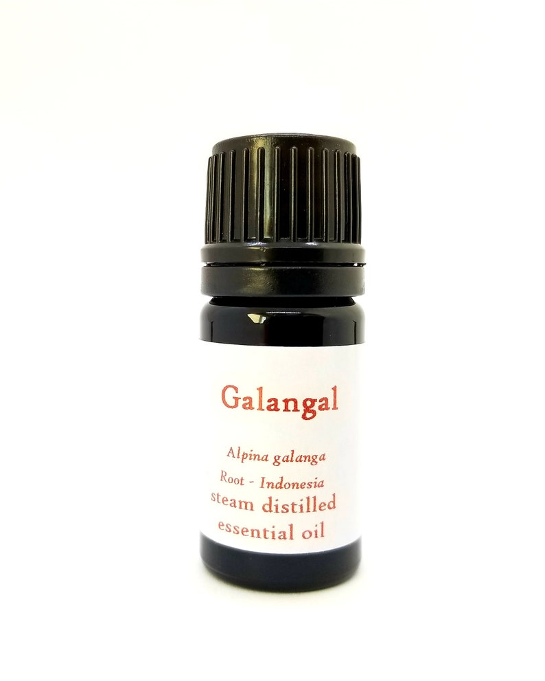 K&ouml;nnte beinhalten: Eine kleine, dunkelbraune Glasflasche mit einem schwarzen Schraubverschluss. Die Flasche ist mit "Galangal" beschriftet und enth&auml;lt dampfdestilliertes &auml;therisches &Ouml;l aus der Wurzel der Alpinia galanga Pflanze, aus Indonesien.