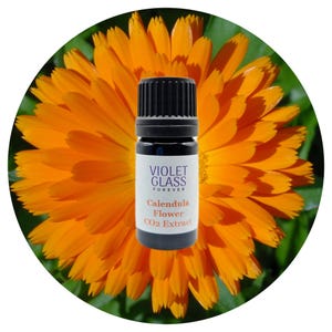 Calendula Organic CO2 Extract Calendula officinalis Rare Potent Extraction Aromatherapy Extract Skin Soothing 100% Pure
