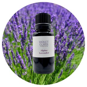 Organic Lavender essential oil Alpine Lavendula angustifolia Premium high altitude grown Calming therapeutic aromatherapy