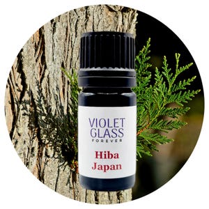 Hiba Essential Oil Japanese Aomori Cedarwood Thujopsis dolabrata Wood Hinokitiol Aromatherapy Natural Perfumery