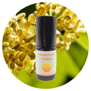 Osmanthus Perfume all natural organic jojoba oil roll on