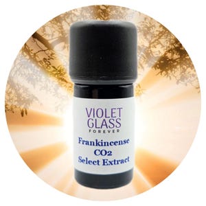 Extrait d'huile d'encens CO2 Select Boswellia Serrata inde, résine de fabrication sauvage, oliban sacré sacré, aromathérapie, parfum naturel