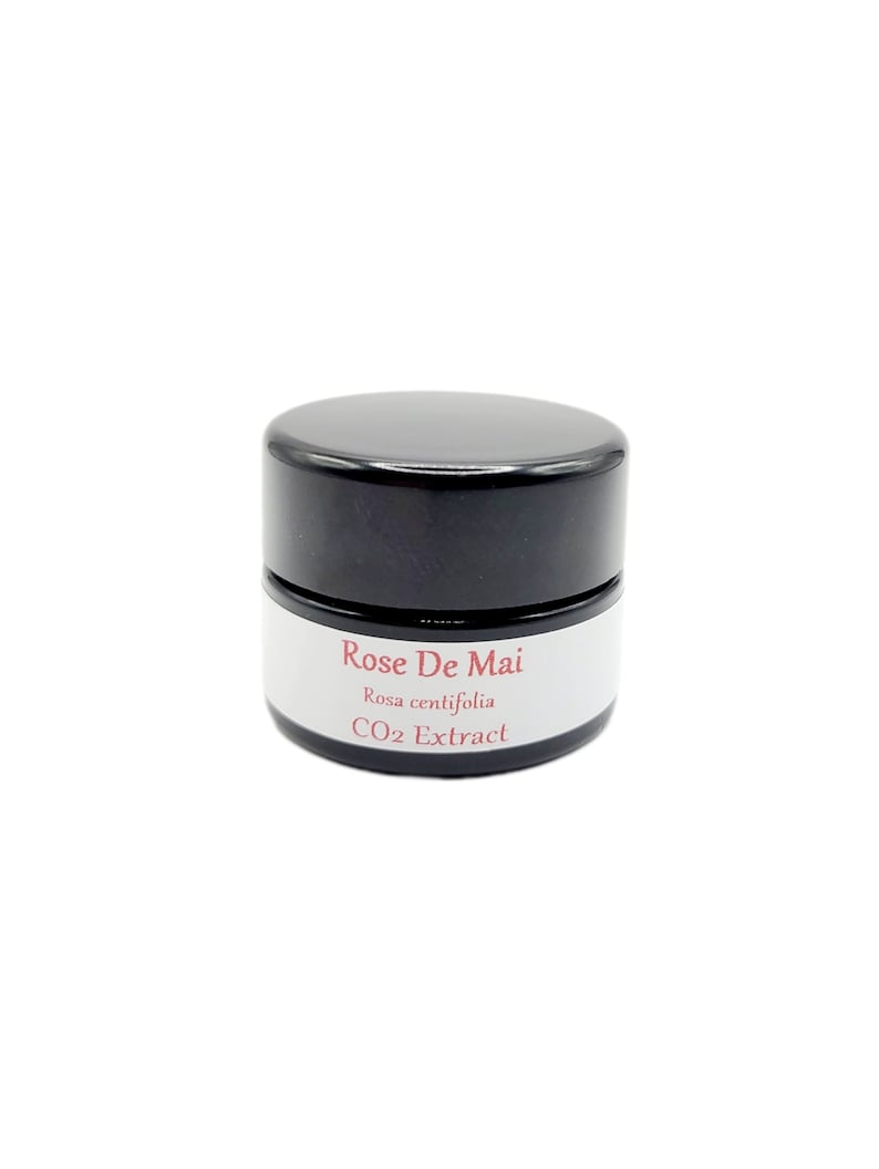 Rose de Mai Organic CO2 Extract Absolute (Rosa centifolia) Rose Maroc Natural Perfume Perfumery Skincare Provence Rose blossom image 5