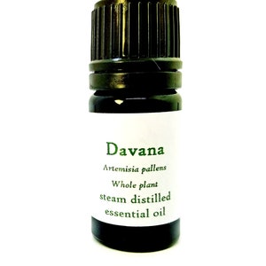Davana essential oil Artemisia pallens Whole plant steam distilled India Perfumer Aromatherapy Highest quality Fixative Floral Herbal Green