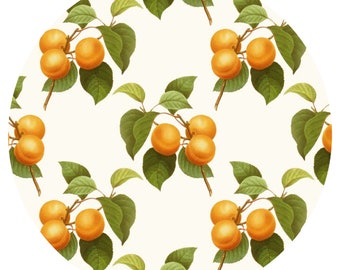 May include: A seamless pattern featuring orange apricots on branches with green leaves against a white background.