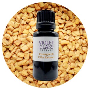 Fenugreek Seed CO2 Oil Extract Organic trigonella foenum graecum Pure Spice maple scent Essential Oil Aromatherapy Natural Perfumery