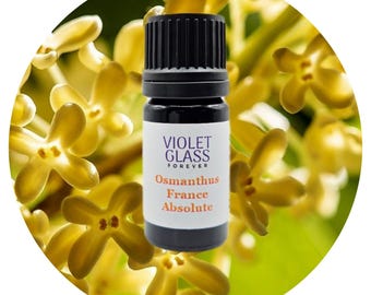 French Osmanthus Absolute Oil Organic Osmanthus fragrans Perfume perfumery Floral Sweet ripe peaches apricot scent aromatherapy pure natural