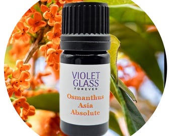 Aceite absoluto de osmanthus, perfume orgánico de osmanthus, fragancias, perfumería, aroma floral afrutado, fijador, fragancia natural pura de larga duración.