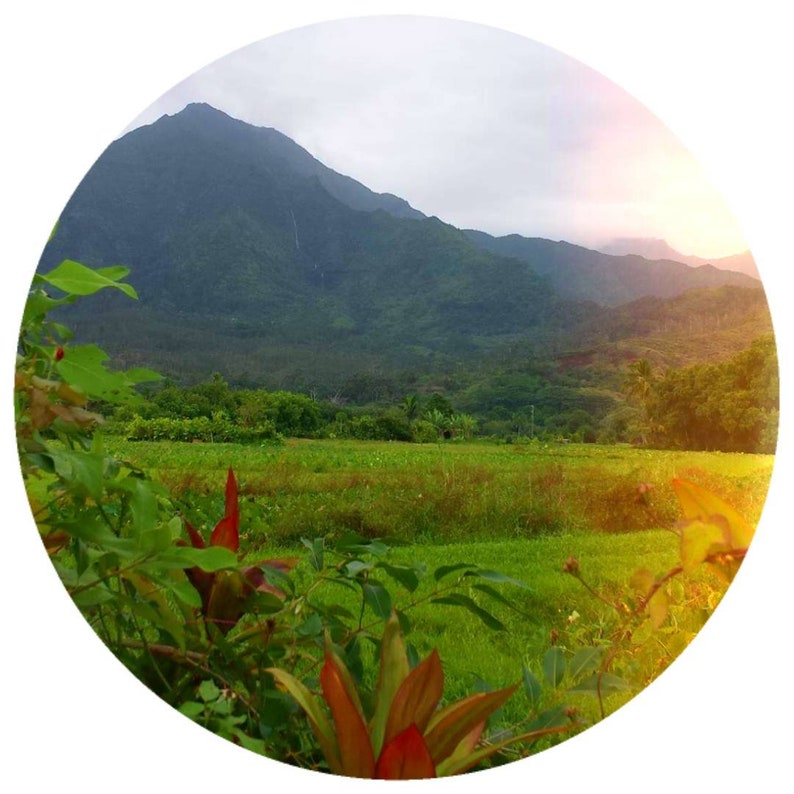 May include: A lush green field with a mountain range in the background. The field is surrounded by trees and bushes, and the mountain range is covered in lush vegetation. The sun is setting in the distance, casting a warm glow over the scene.