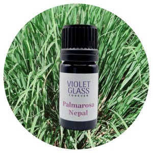 Palmarosa essential oil Nepal High quality steam distilled Cymbopogon martinii Sweet Rosy Floral Aroma all natural aromatherapy