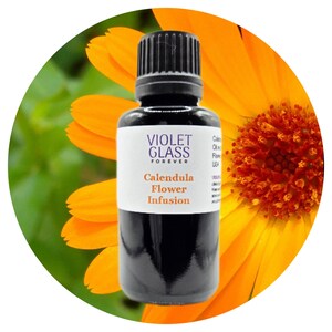 Calendula Flower Infusion Organic Olive Oil and Fresh Flowers