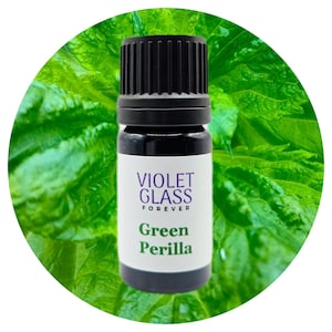 Green Perilla Leaf Essential Oil Japan Japanese Shiso Frutescens Crispa Natural Perfume Perfumery Citrusy Herbal Spicy aojiso ōba