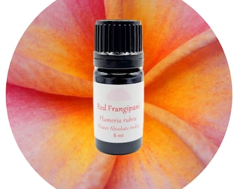 Frangipani Absolute Oil Red Plumeria Rubra India rare real perfume perfumery natural authentic tropical floral sweet scent aroma