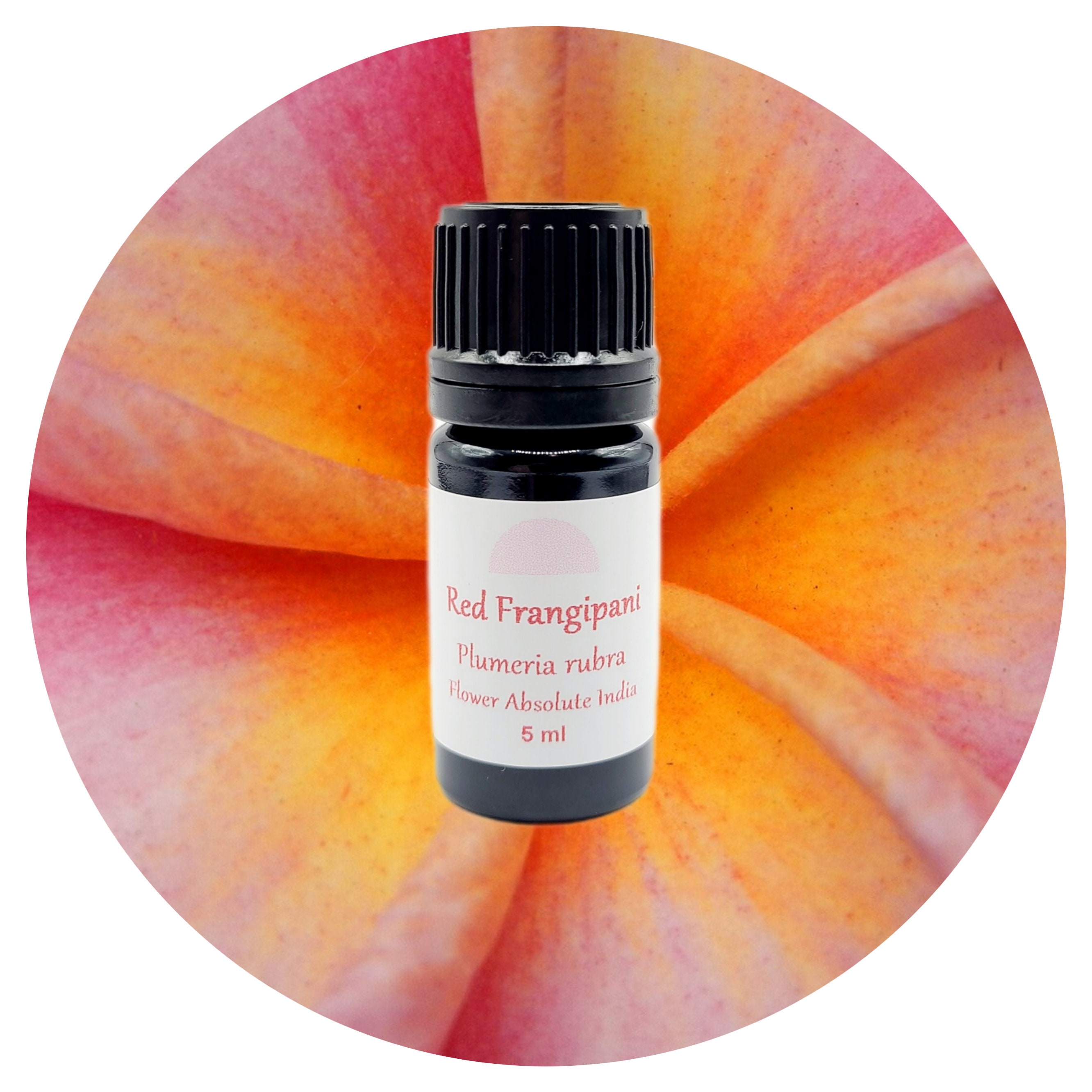 Frangipani Absolute Oil Red Plumeria Rubra India rare real perfume perfumery natural authentic tropical floral sweet scent aroma