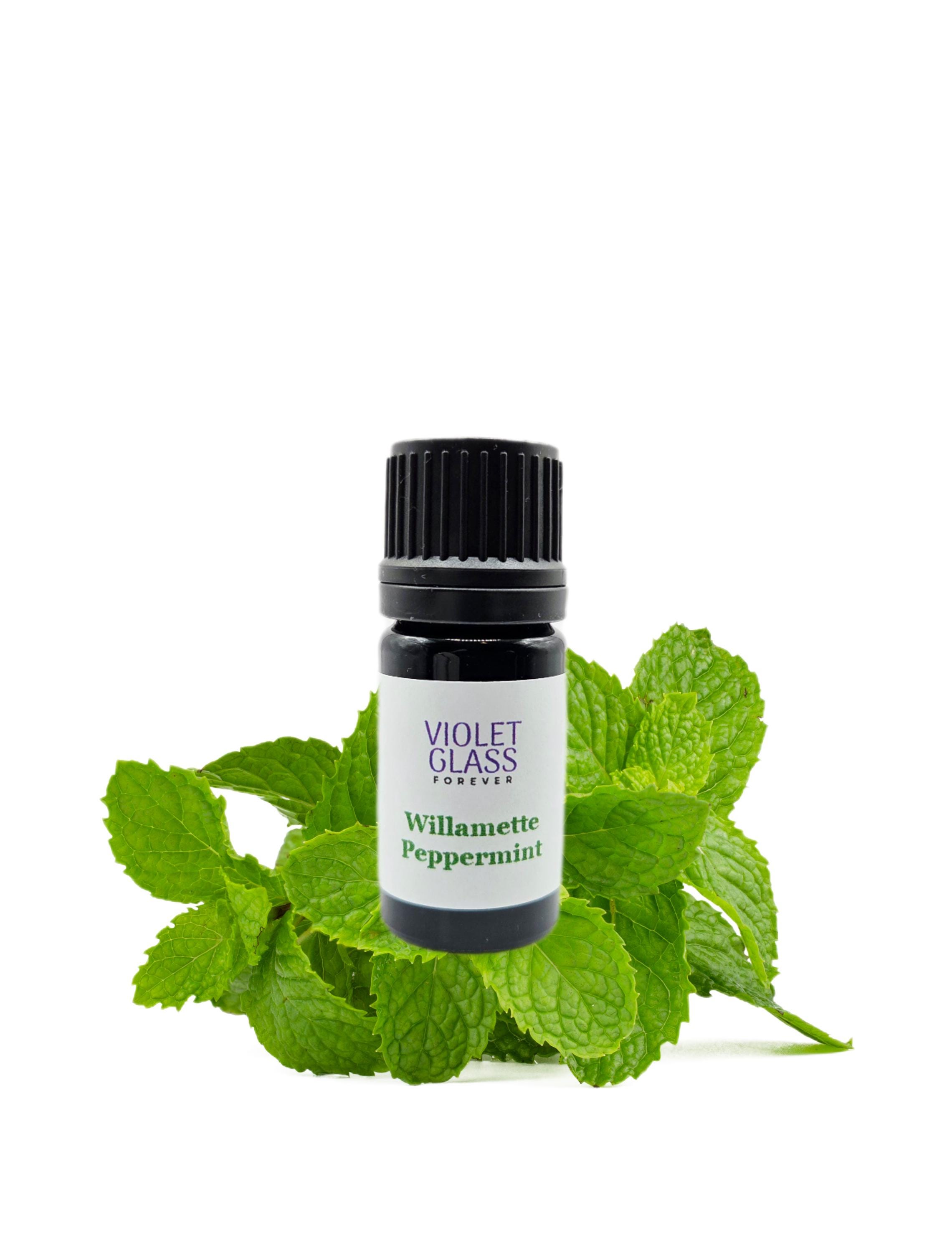 8本】ペパーミント 精油 100ml エッセンシャンオイル 純天然抽出 8本