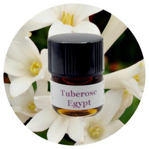 Tuberose Absolute Oil Egypt Pure Organic Natural Perfume Perfumery Rare Extract Scent Aroma Fragrance