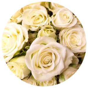 May include: A close-up of a bouquet of white roses. The roses are in full bloom, with soft, creamy white petals and a hint of yellow at the center. The arrangement is set against a white background, creating a clean and elegant look.