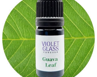 Guava Leaf essential oil Organic Psidium guajava Pure Quality Aromatherapy Natural Perfumery Steam distilled Rare Unique Extract