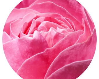 Rose Attar Rosa damascena Distilled into Aged East Indian Sandalwood Traditional Hydro-Distilled Perfume Oil Rare & Exquisite