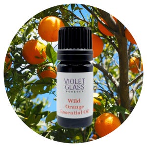 Wild Orange Essential Oil, Wild (Citrus sinensis) Wildcrafted Aromatherapy Pure scent diffuser uplifting self care perfumery