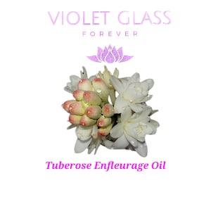 Tuberose Enfleurage Oil All Natural Perfume Oil Jojoba Infusion Maceration
