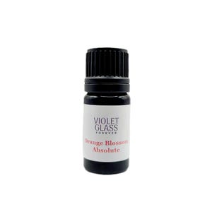Orange Blossom absolute Citrus aurantium Fine Neroli Perfumery Aromatherapy Organic Natural pure scent perfume floral oil rare Orangeblossom