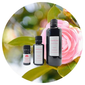 Camellia Oil Organic Natural Oleifera Moisturizer Carrier