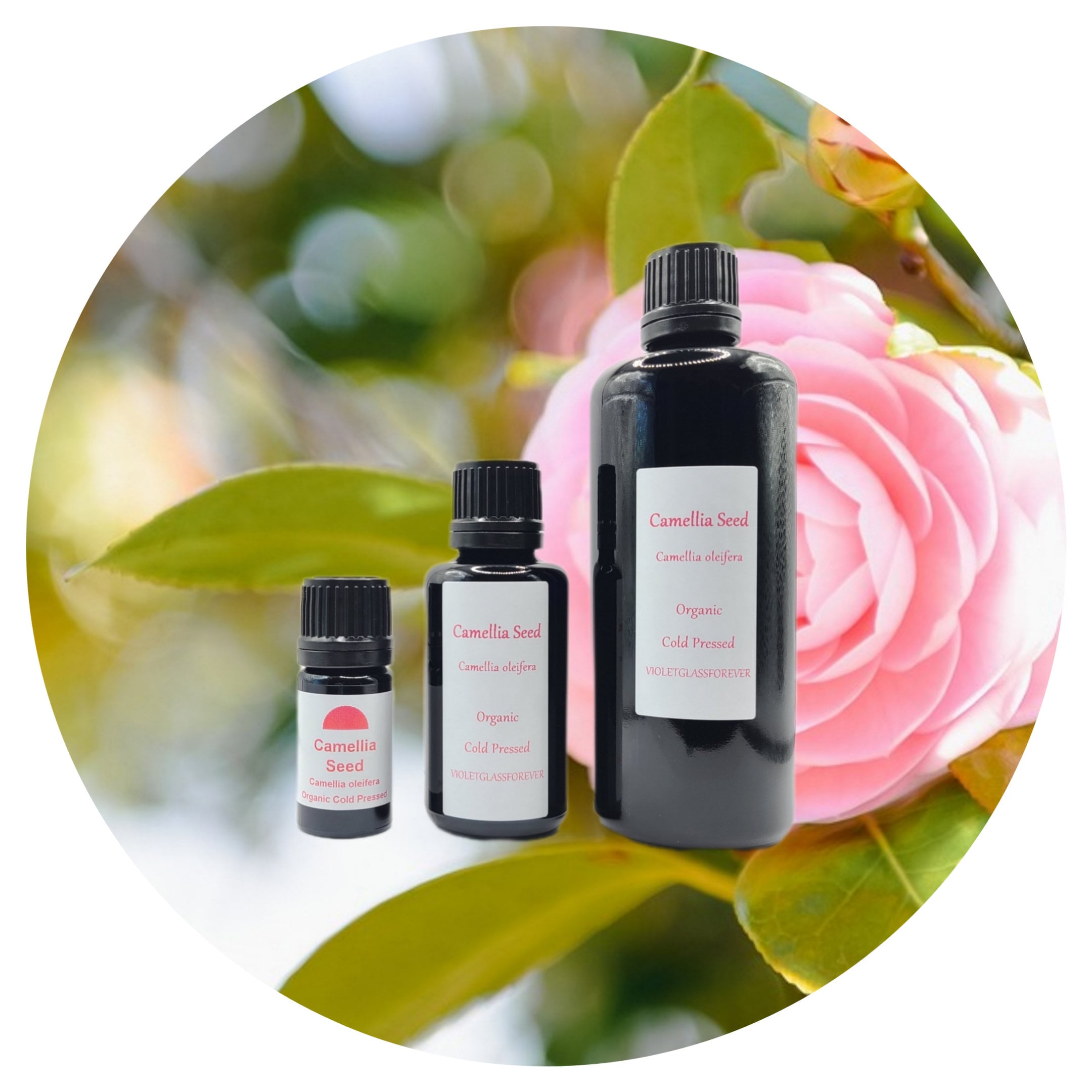 Camellia Oil Organic Natural Oleifera Moisturizer Carrier