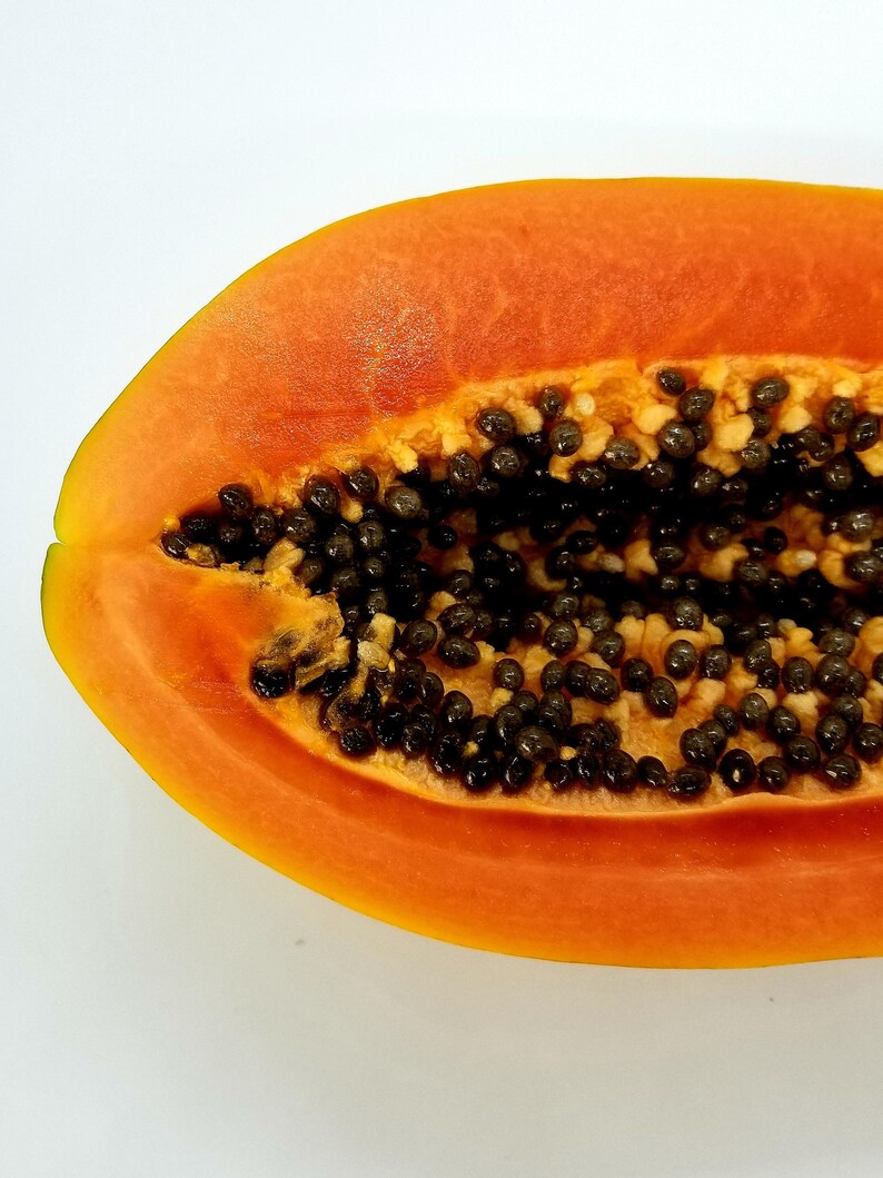Organic Papaya Seed Oil Carica papaya Cold pressed organic Etsy