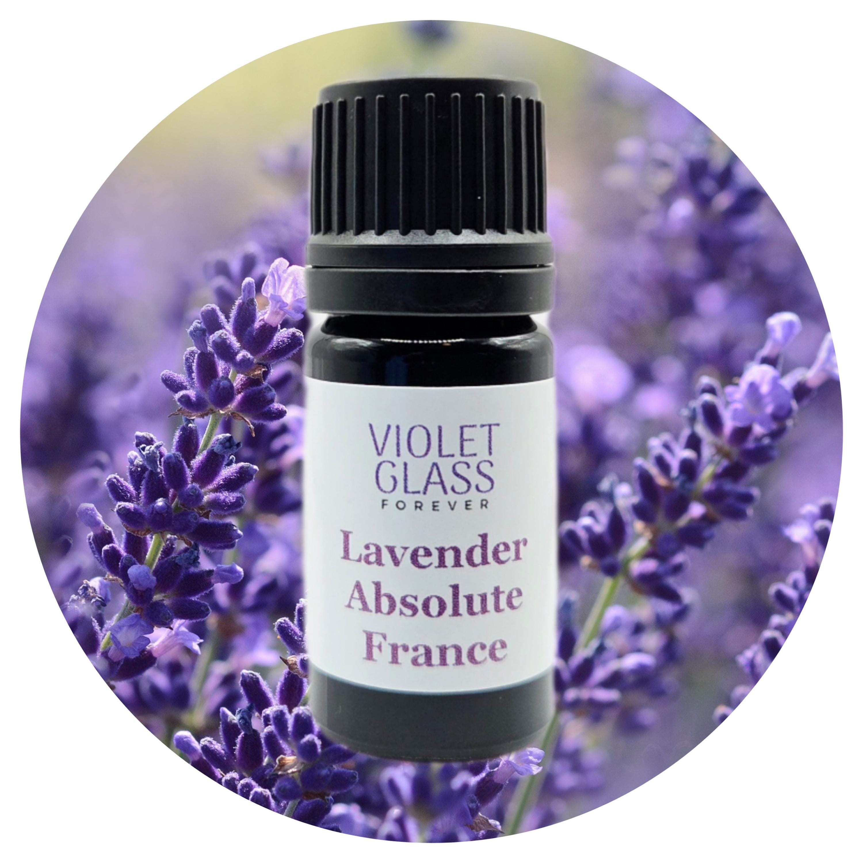 Lavender Absolute FRENCH Organic France Lavandula Angustifolia