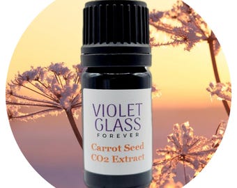 Aceite esencial de extracto de semilla de zanahoria con CO2, Daucus carota, cuidado natural de la piel, alto contenido de carotol, 83 % de pureza, grado alimenticio, perfumería.