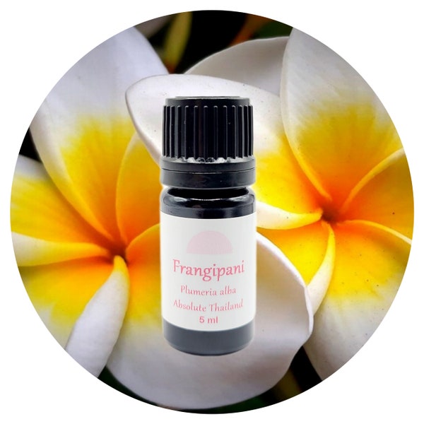 Frangipani Absolute Oil Plumeria alba extract Thailand rare real perfume perfumery natural organic authentic floral