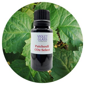 Aceite de nota de corazón de pachulí CO2 Select, Pogostemon cablin orgánico, perfumería natural.