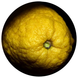 May include: A close-up of a yellow citrus fruit with a bumpy texture. The fruit is round and has a small stem at the top.