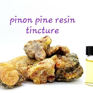 Fresh Pinon Pine resin TINCTURE collected from pristine locations in the PNW USA organic wildcrafted Pine tree resin Pinetree Pinyon Resins
